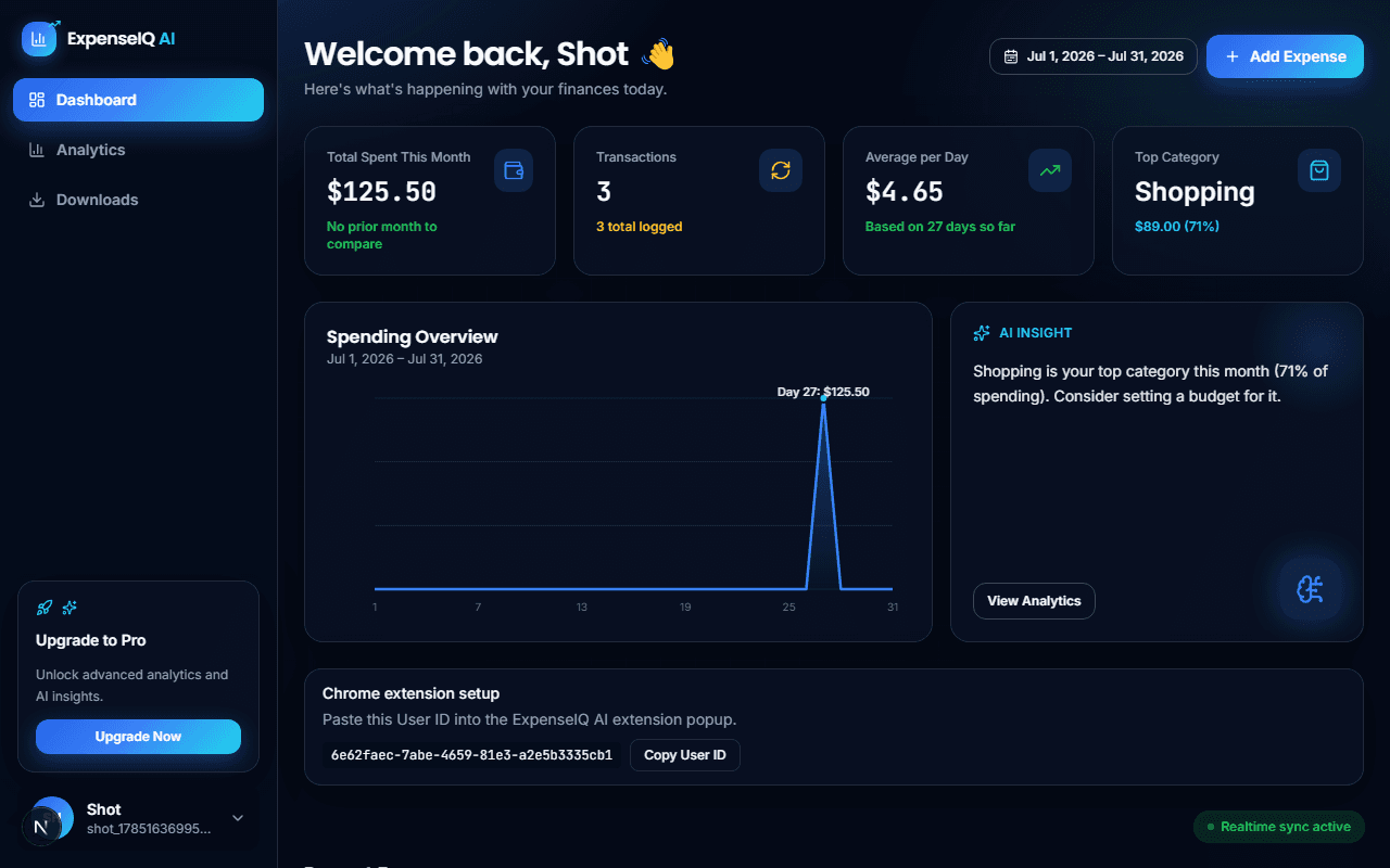 ExpenseIQ AI product screen